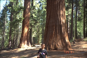 9400 0654 wdc yosemite ca hiImg0016.jpg